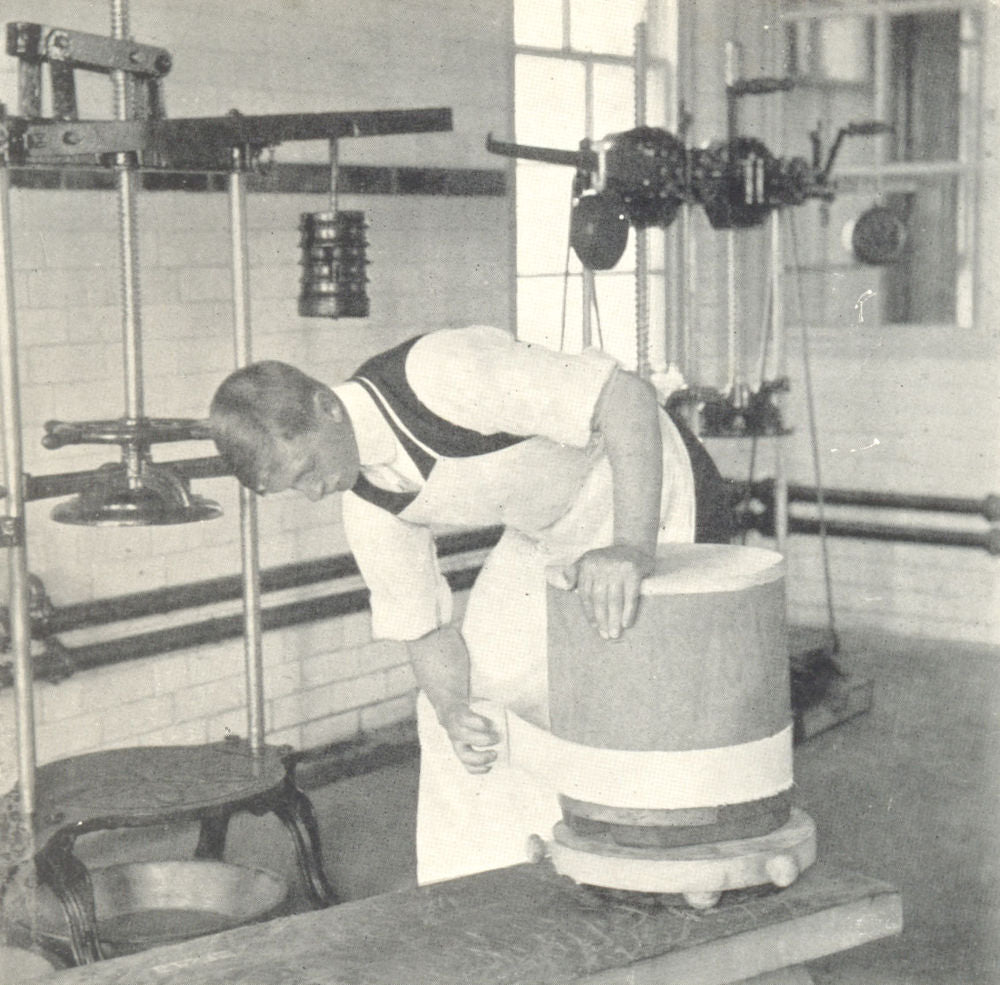 CHEDDAR CHEESE MAKING. Method of Bandaging 1912 old antique print picture